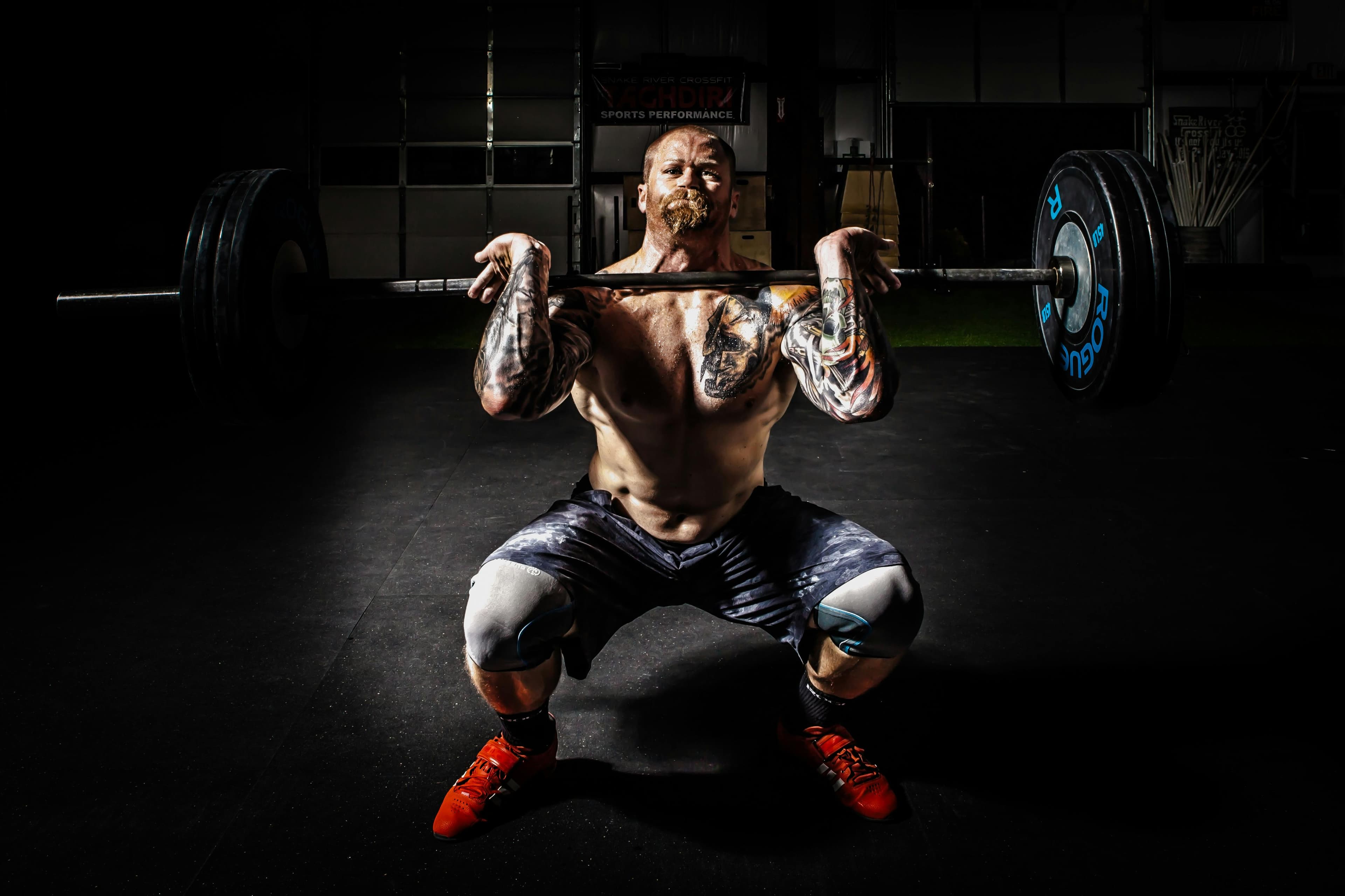 Bodybuilding Transformation media 2